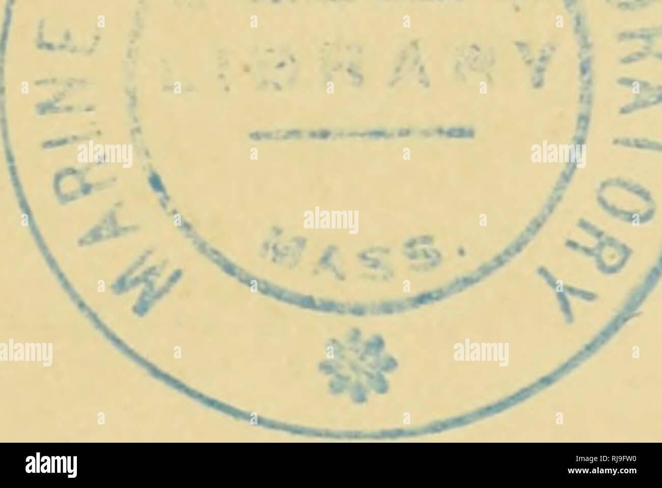 . Le attività chimiche di batteri. I batteri. ADDENDUM mentre questa edizione è stata nella pressa, Ochoa e collaboratori hanno pubblicato una serie di documenti [J. Biol. Chem., 1950, 187, 849 e segg.) che trattano con la fissazione di anidride carbonica da parte di animali e le cellule batteriche. Essi hanno dimostrato che il dente di incastro si combinerà con acido piruvico in presenza di coenzima ridotto I (in batteri) per formare acido malico direttamente, l'enzima con- sato essendo attualmente noti come "enzima malico":- CO2 + CH3. CO. COOH + CoE. H2 = HOOC.CH2.CHOH.COOH + CoE. Nei regimi di avanzare su pagg. 135 e 137, il primo st Foto Stock
