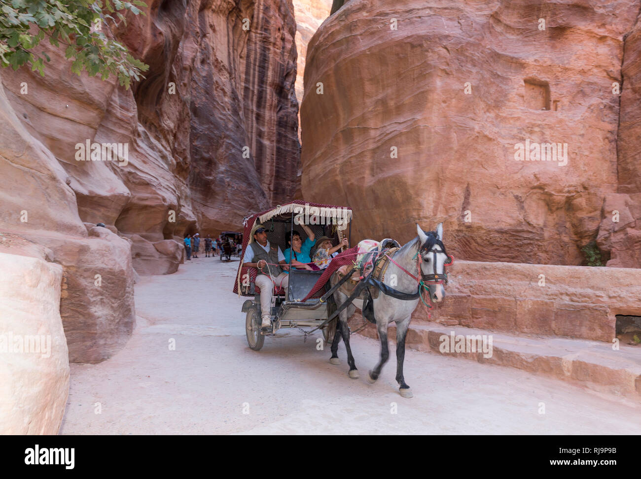 Pferdekutsche, der Sik, Siq, Felsschlucht, Petra Wadi Musa, Nabatäer Hauptstadt, UNESCO Weltkulturerbe, Jordanien, Asien Foto Stock