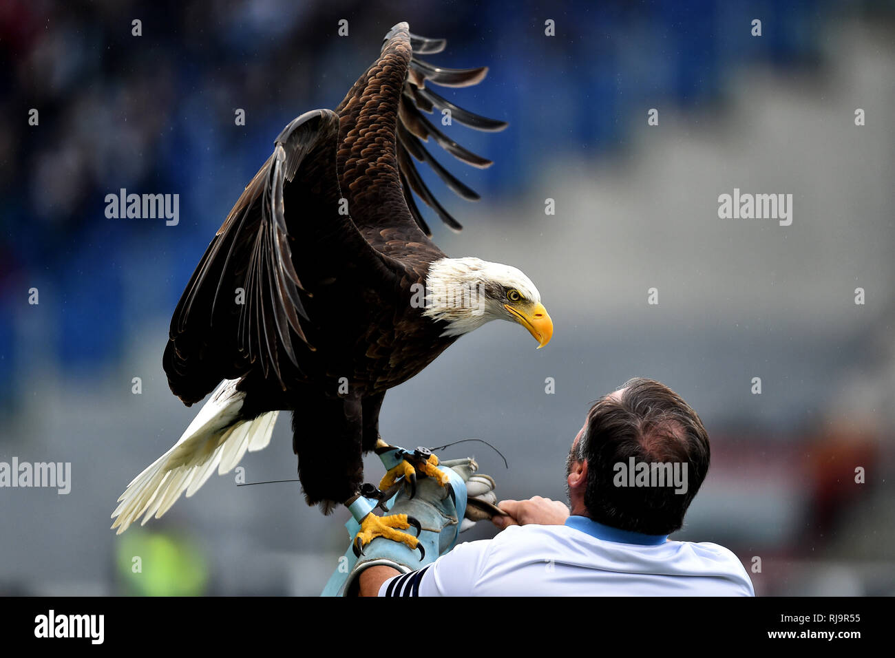 Lazio la mascotte aquila Olimpia avanti la Serie 2018/2019 una partita di  calcio tra la SS Lazio e Cagliari allo stadio Olimpico di Roma, 22 dicembre  201 Foto stock - Alamy