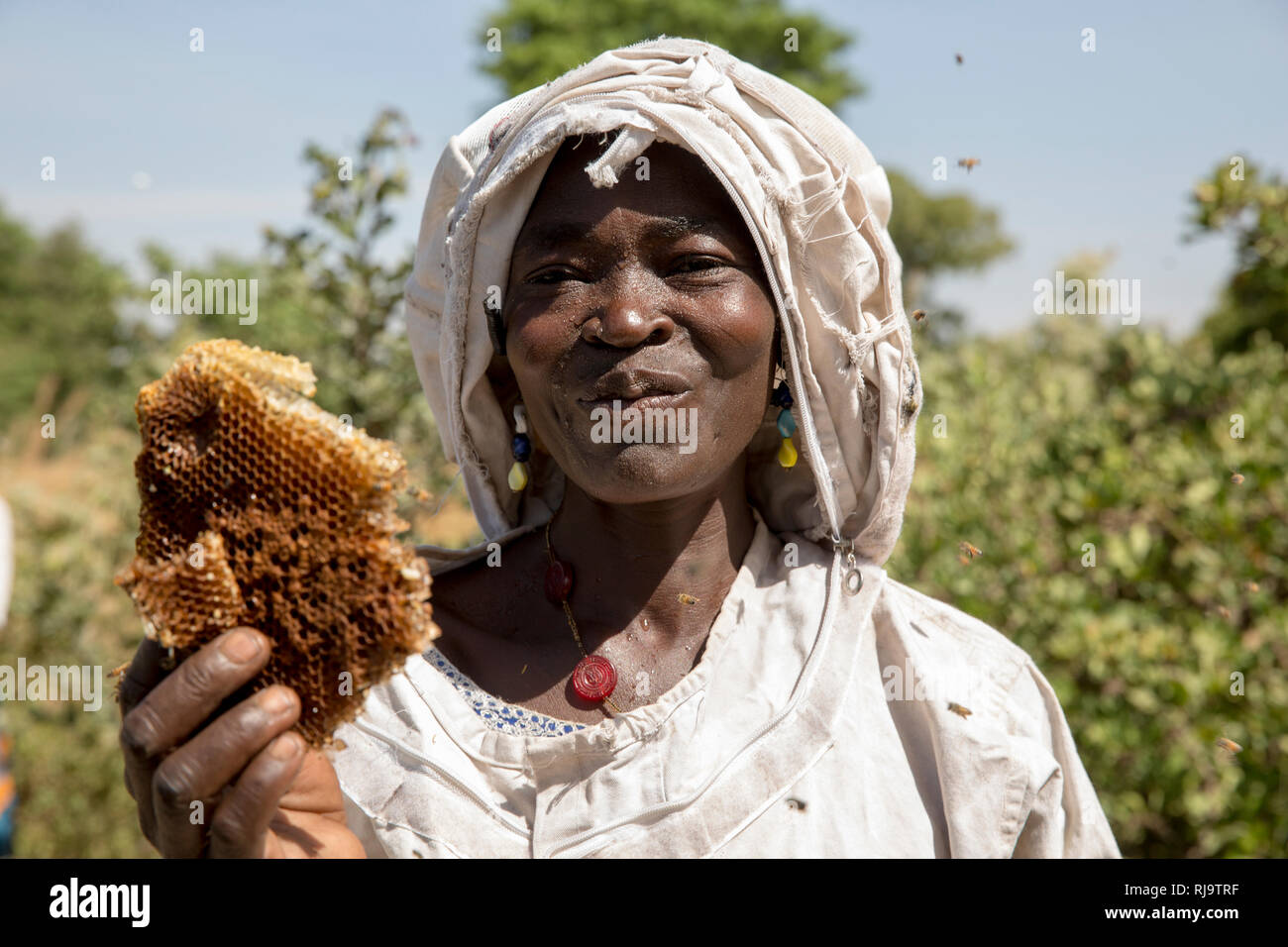 Villaggio Bissiga, Yako, Burkina Faso, 29 novembre 2016; i membri delle donne del sostentamento della Foresta Progetto con favi hanno appena raccolti da uno del gruppo di dieci alveari. Foto Stock