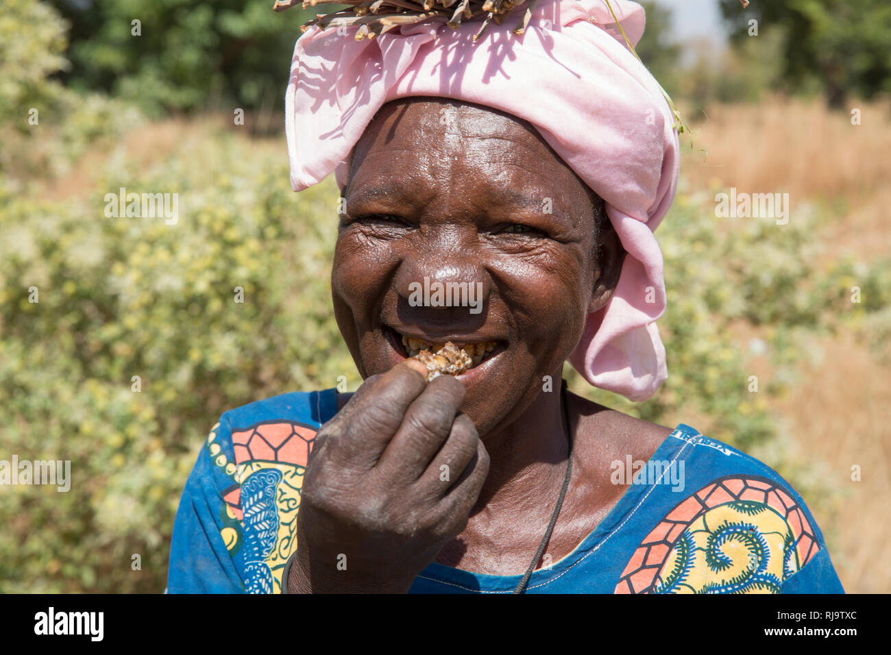 Villaggio Bissiga, Yako, Burkina Faso, 29 novembre 2016; i membri delle donne del sostentamento della Foresta Progetto con favi hanno appena raccolti da uno del gruppo di dieci alveari. Foto Stock