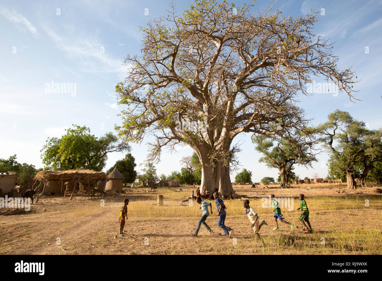 Villaggio di Baribsi, Yako, Burkina Faso, 30th novembre 2016; bambini che giocano di fronte all'albero baobab del villaggio, utilizzato per riunioni del villaggio. Foto Stock