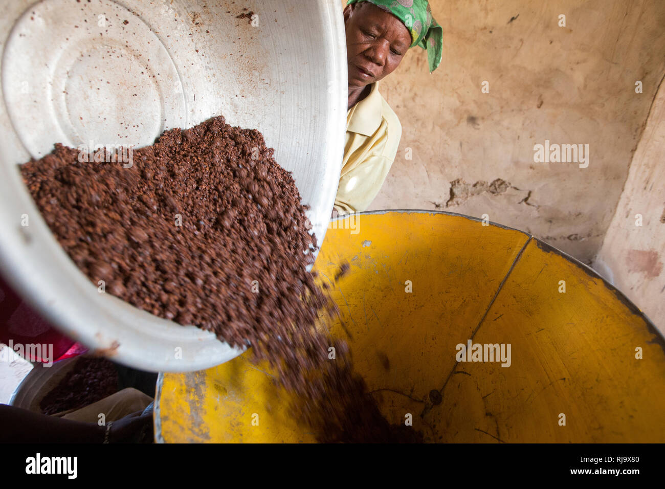 Yarsi Village, Yako, 1st dicembre 2016; membri del Village Tree Enterprise Shea Group con noci di karité schiacciate, parte del processo di produzione del burro di karité. Foto Stock