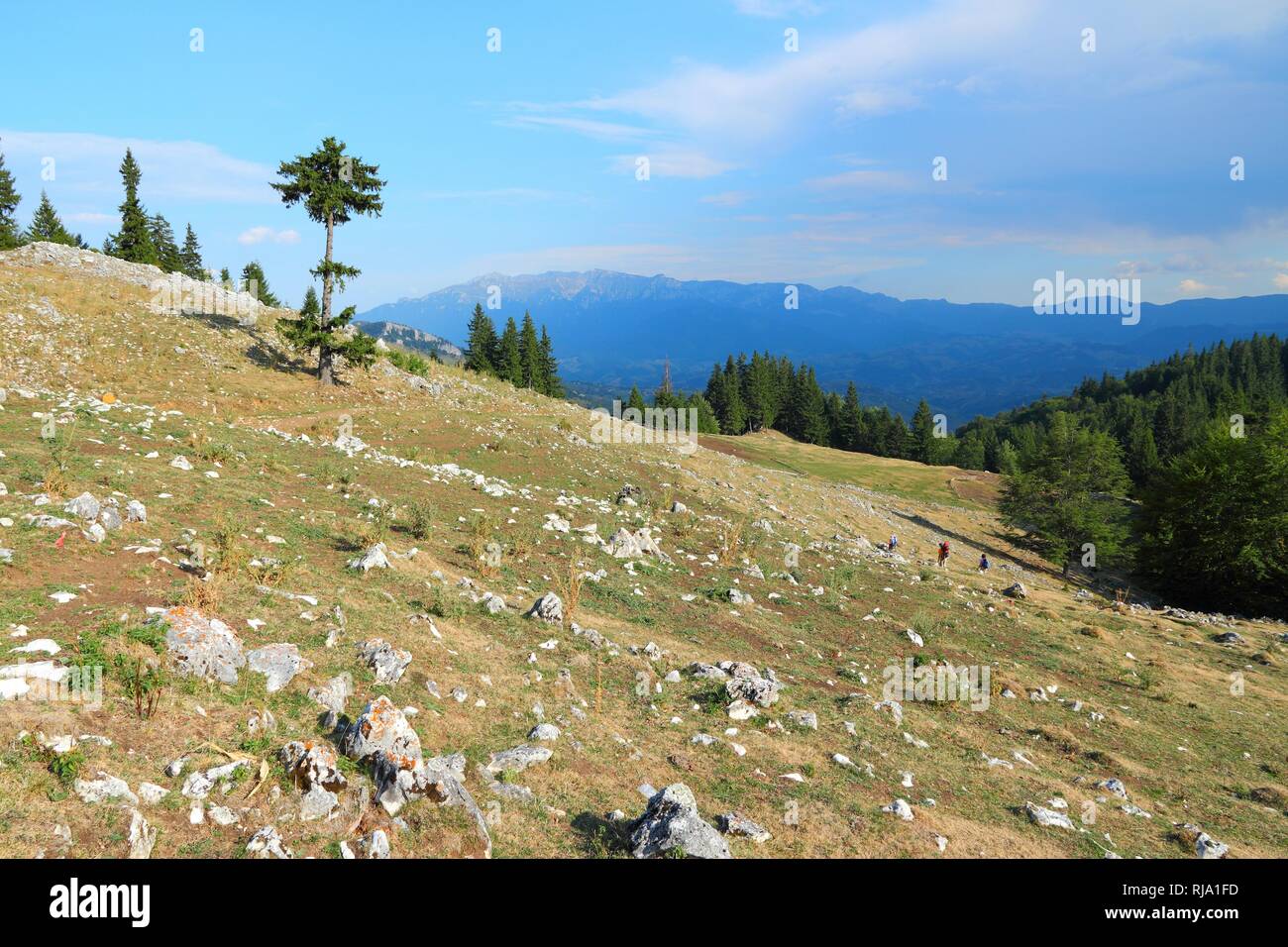 Piatra Craiului National Park in Romania - sentiero escursionistico a Piatra Mica nei Carpazi Meridionali. Foto Stock