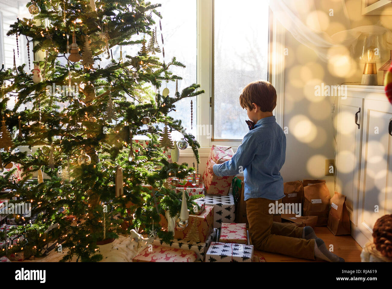 Ragazzo in ginocchio di fronte a un albero di Natale guardando doni Foto Stock