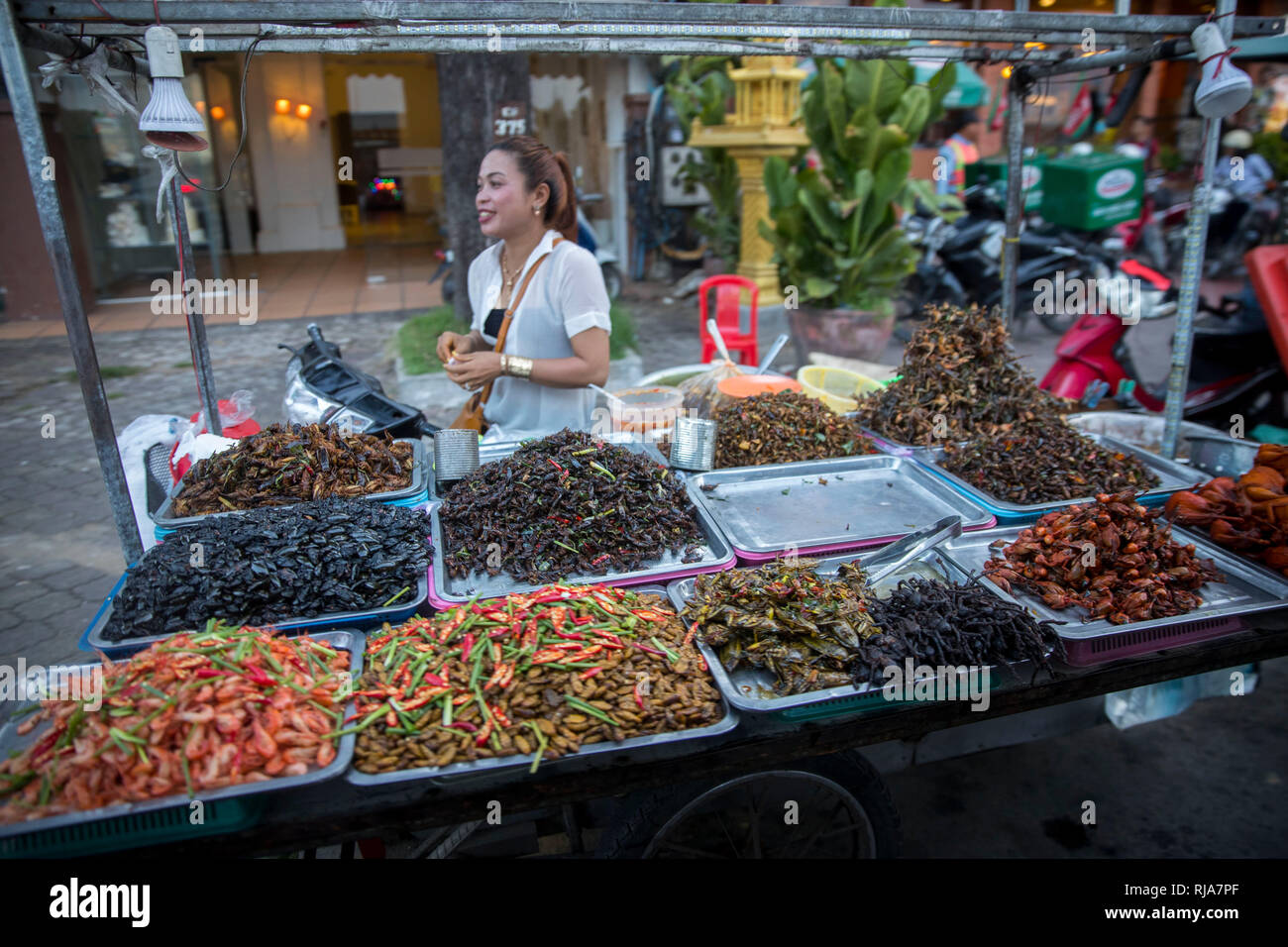 Kambodscha, Phnom Penh, Straßenszene, Verkaufsstand für geröstete Insekten, Spinnen, Kakerlaken, Larven, Würmer RSU. Foto Stock