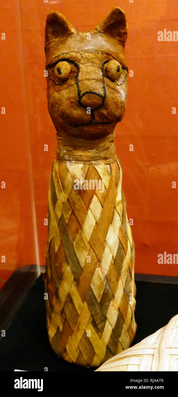 La ricostruzione di un gatto mummificato di Bubastis, Egitto. Utilizzato in tombe degli adoratori di Bastet. 600 BC Foto Stock