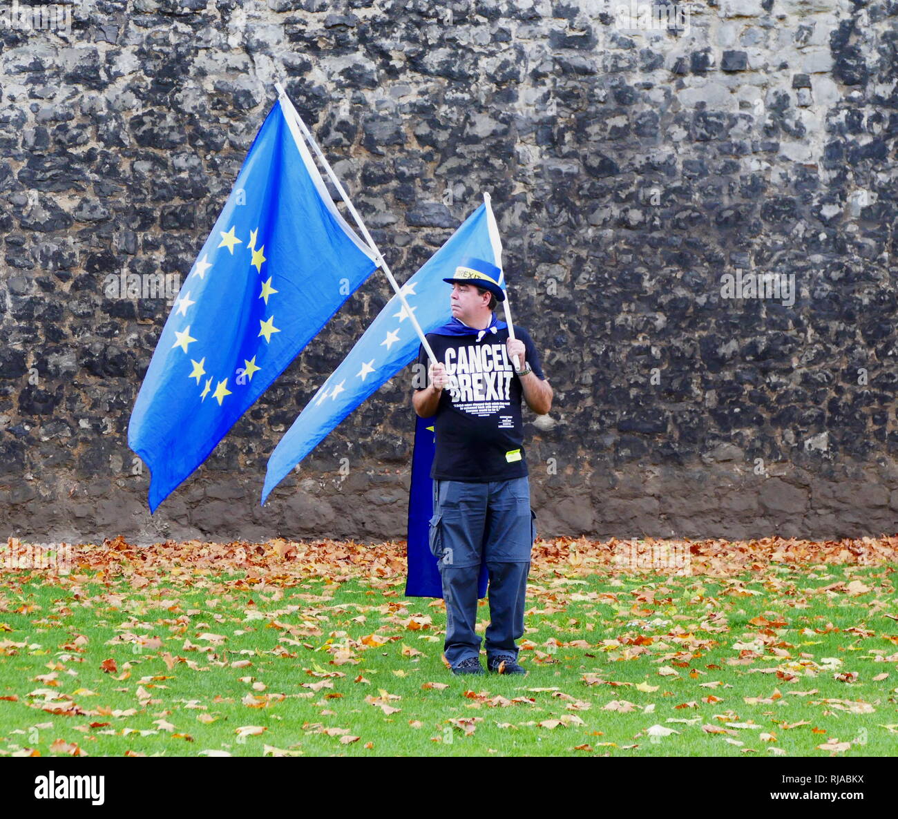 Manifestante solitario portando Unione europea bandiere di fronte al parlamento britannico, proteste contro il voto Brexit dopo il 2016 un referendum in cui il Regno Unito ha votato a lasciare l'UE. Foto Stock