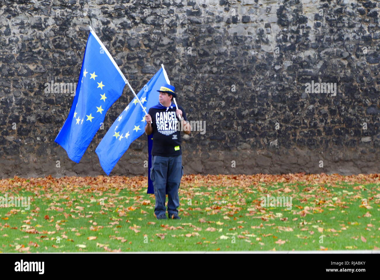 Manifestante solitario portando Unione europea bandiere di fronte al parlamento britannico, proteste contro il voto Brexit dopo il 2016 un referendum in cui il Regno Unito ha votato a lasciare l'UE. Foto Stock