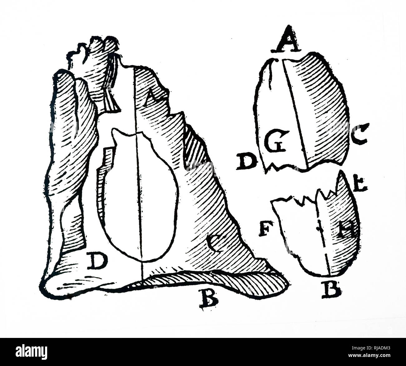 Una xilografia incisione raffigurante un pezzo di magnetite in roccia. Sulla destra è mostrato in figura rimosso e rotto, ma la linea A, B, la pole, rimarrà sempre la stessa, qualunque sia la forma del magnete. Datata xviii secolo Foto Stock