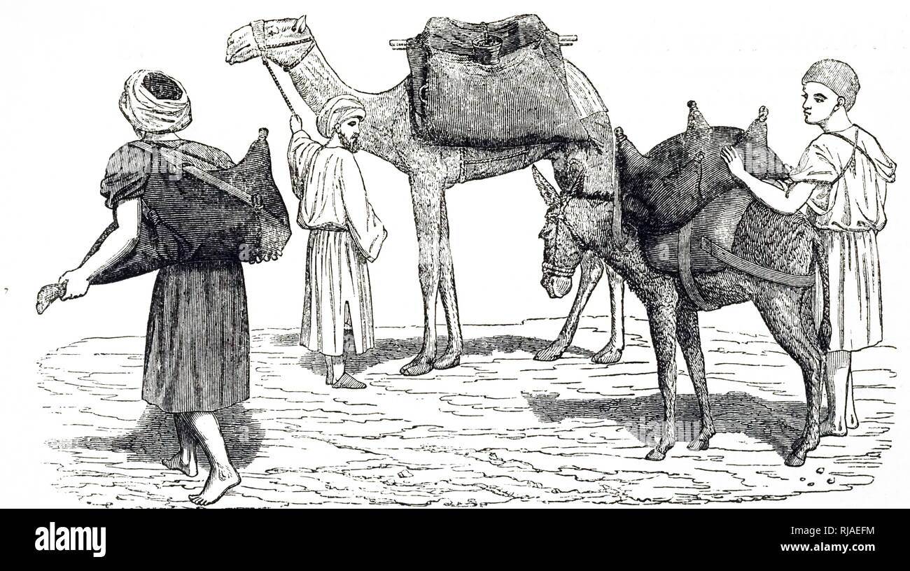Una incisione raffigurante un Egiziano venditori di acqua con i cammelli. Datata del XIX secolo Foto Stock