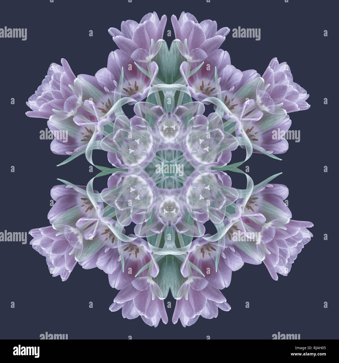 Arte decorativa con motivi floreali e geometriche dei pattern di colori /  mandala realizzato da macro di violetta tulipani verde,grigio sfondo viola , pittura vintage Foto stock - Alamy