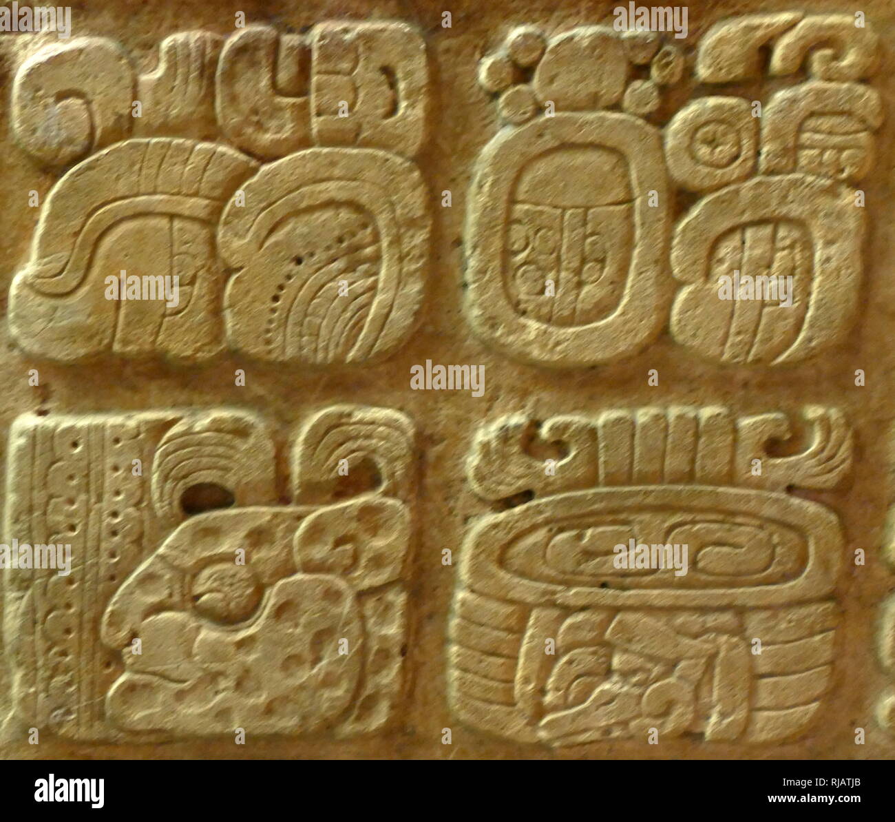Architrave 35, Maya, annuncio circa 450-550. Uno degli otto, architravi dalla struttura 12 che insieme elenco nove generazioni di governanti a Yaxchilan. Yaxchilan è un antica città Maya situato sulla riva del fiume Usumacinta in che cosa ora è stato del Chiapas, Messico. Nel tardo periodo Classico Yaxchilan era uno dei più potenti stati Maya Foto Stock