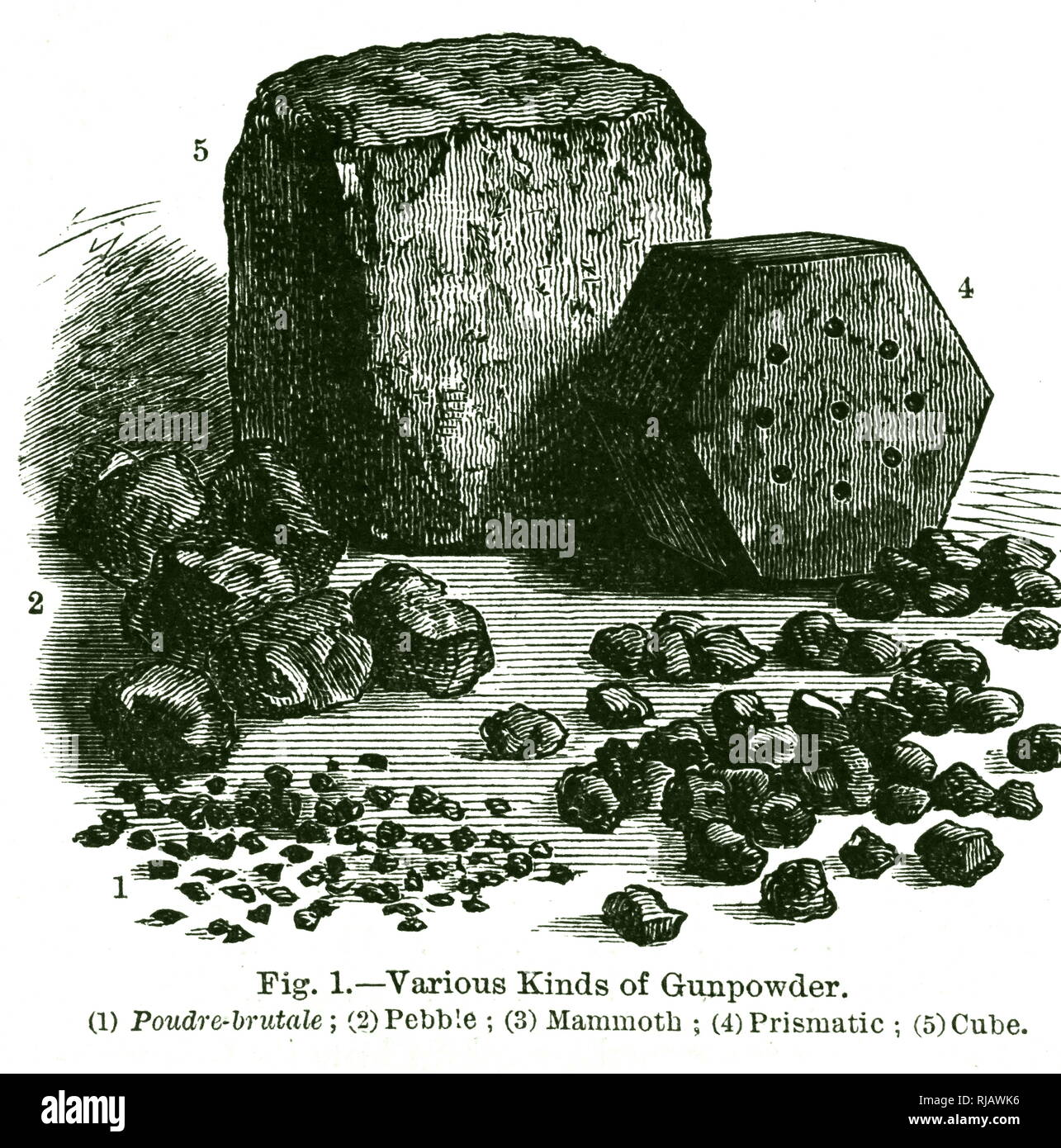 Una incisione raffigurante varie dimensioni e pezzi di polvere da sparo, in uso verso la fine del diciannovesimo secolo, che vanno dalla multa Poudre-brutale (1) attraverso il ciottolo (2) mammoth (3) prismatica (4) al cubo (5) che potrebbero pesare una mezza libbra e dispongono di 2 pollice i lati di ciascun cubo. Datata del XIX secolo Foto Stock