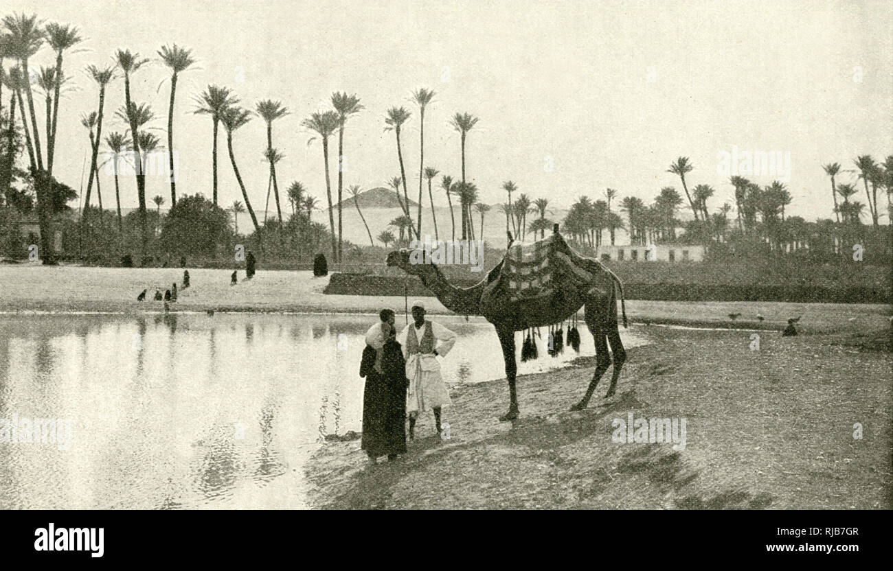Persone con cammello sul lungomare, Saqqara, Egitto Foto Stock