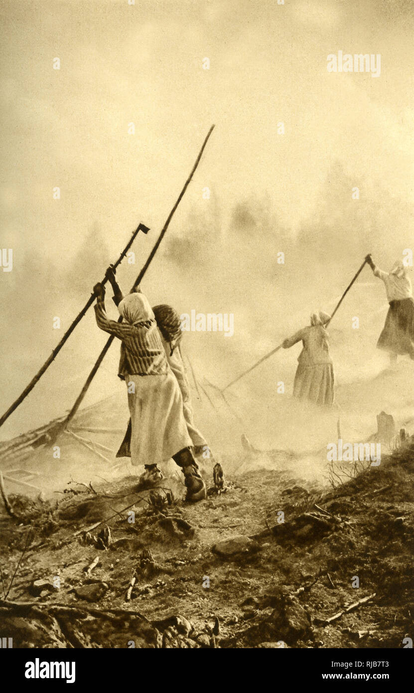 Donne contadine che bruciano detriti forestali, Finlandia Foto Stock