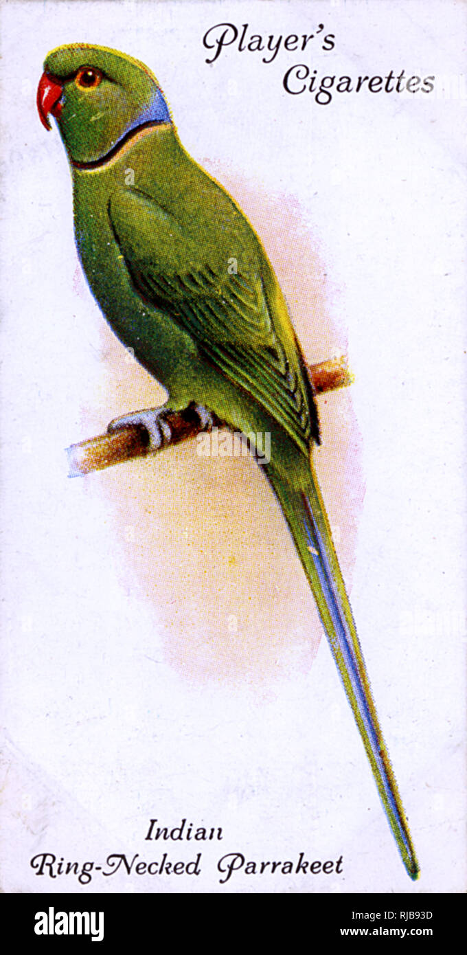 Applique Led Ad Anello Intrecciato In 3 Colori Art DIVA/A - Foto 6