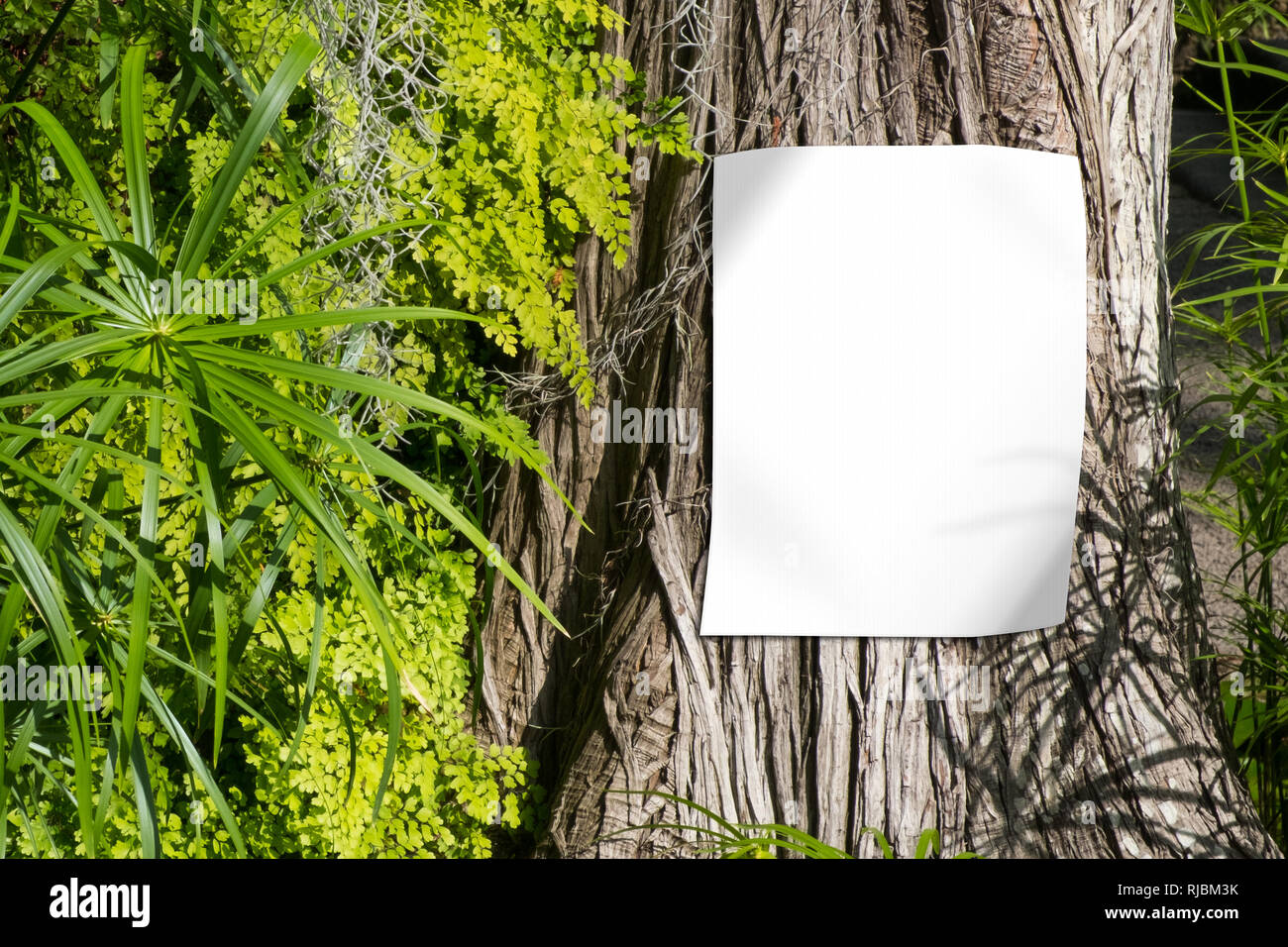 Schermata bianca vuota poster sul tronco di albero , segno vuoto mockup con lo sfondo della natura Foto Stock