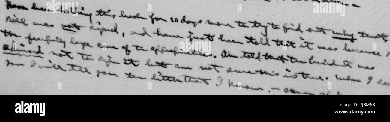 . C. Hart Merriam papers : comprese la corrispondenza, le carte relative alla carriera con gli Stati Uniti indagine biologica, 1798-1972 (bulk 1871-1942). Stati Uniti. Divisione di ornitologia e Mammalogy; Stati Uniti. Divisione di indagine biologica; Stati Uniti. Indagine biologica; Stati Uniti. Ufficio di indagine biologica; geologico e indagine geografica dei territori (brevetto statunitense n. S. ); Harriman Alaska Expedition (1899); Mare di Bering polemiche; sopporta; Biogeography; Storia Naturale; ornitologia; botanica; zone di vita; la conservazione della fauna selvatica. ^se 928 ^i^ i 3 T 13 aprile 1925 fiss, in posizione Dorothy H. Hufrnin Foto Stock