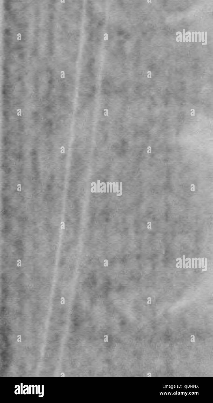 . C. Hart Merriam papers : comprese la corrispondenza, le carte relative alla carriera con gli Stati Uniti indagine biologica, 1798-1972 (bulk 1871-1942). Stati Uniti. Divisione di ornitologia e Mammalogy; Stati Uniti. Divisione di indagine biologica; Stati Uniti. Indagine biologica; Stati Uniti. Ufficio di indagine biologica; geologico e indagine geografica dei territori (brevetto statunitense n. S. ); Harriman Alaska Expedition (1899); Mare di Bering polemiche; sopporta; Biogeography; Storia Naturale; ornitologia; botanica; zone di vita; la conservazione della fauna selvatica. Ho nov. 4, 1918 S.G.Fahrney, Esqr. /Dighe lixpress Co. 66 Foto Stock