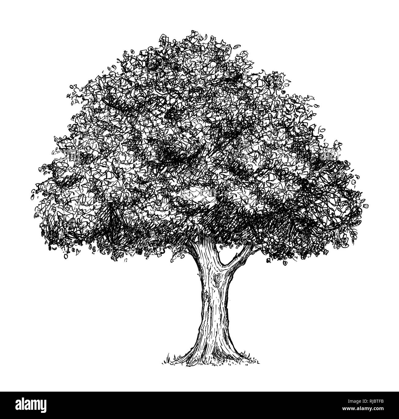 Disegno animato di albero Foto Stock