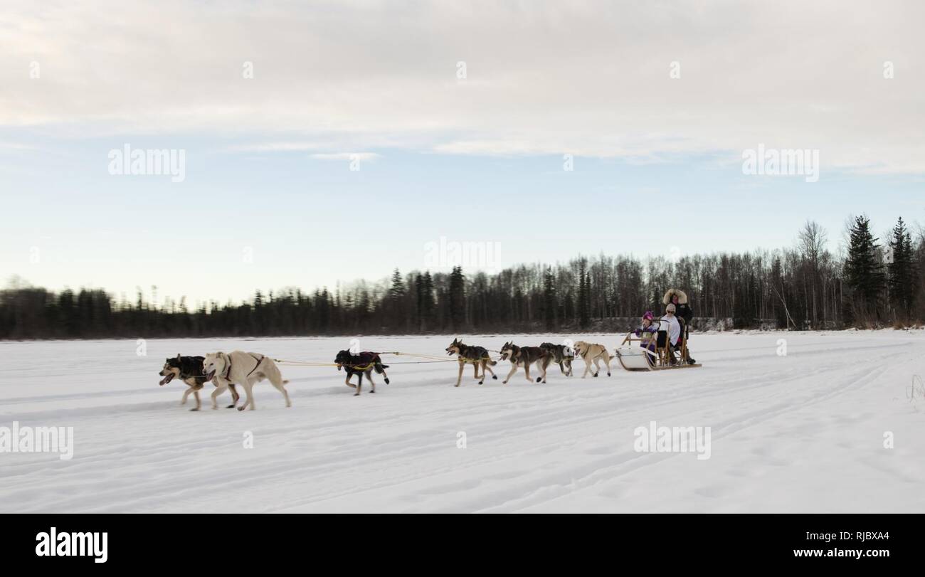 Uno Sled Dog team offre corse di Hillberg Ski Area visitatori a base comune Elmendorf-Richardson, Alaska, 14 gennaio 2018. Come parte della morale, il benessere e la ricreazione programma ospitato dal 673d forza squadrone di supporto e vita JBER Team, il Hillberg Ski Area offre quelli con accesso di base di una varietà di sport invernali e gli eventi. Foto Stock