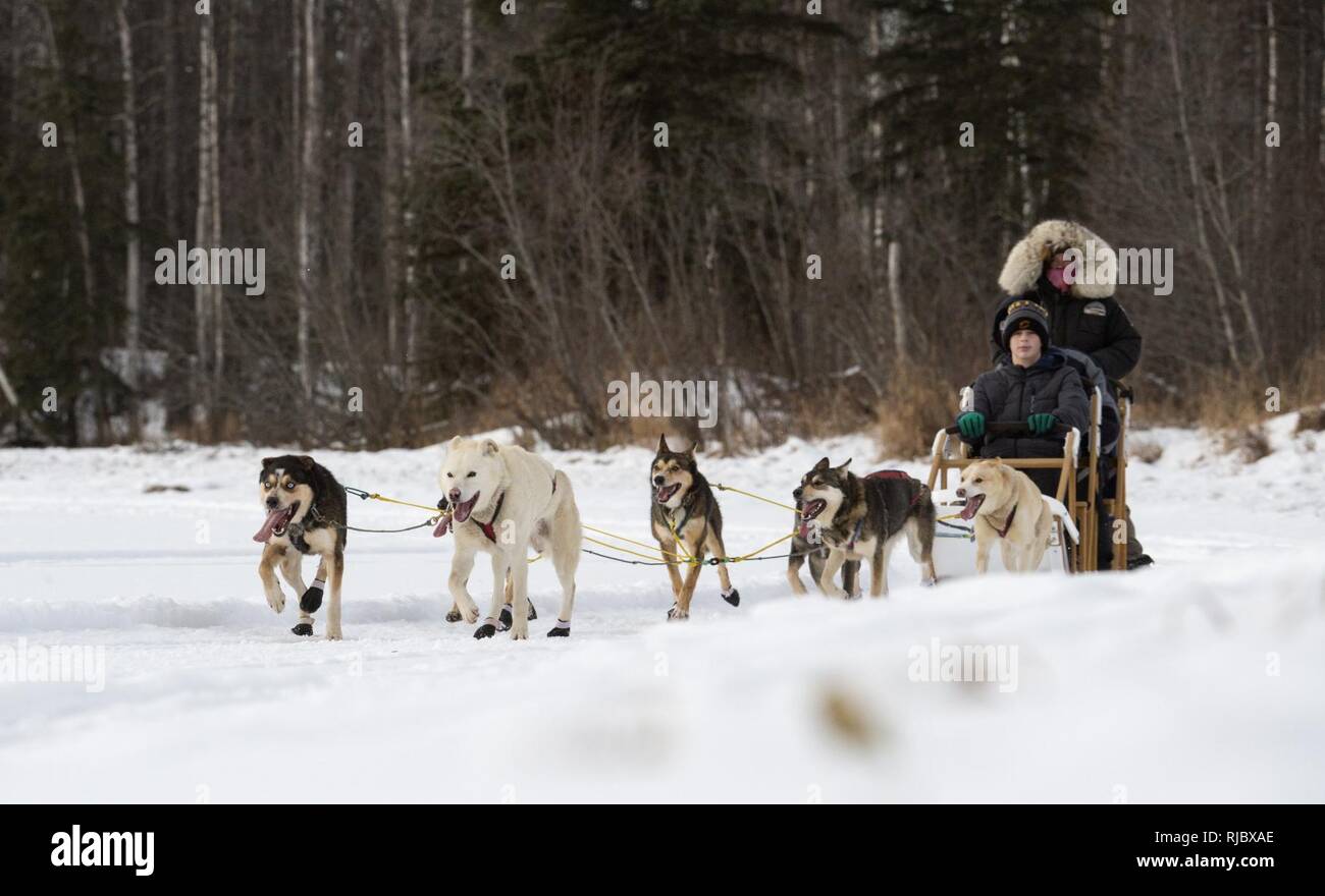 Giacobbe, 12, passa per una slitta trainata da cani corrono a Hillberg lago a base comune Elmendorf-Richardson, Alaska, 14 gennaio 2018. Come parte della morale, il benessere e la ricreazione programma ospitato dal 673d forza squadrone di supporto e vita JBER Team, il Hillberg Ski Area offre quelli con accesso di base di una varietà di sport invernali e gli eventi. Foto Stock