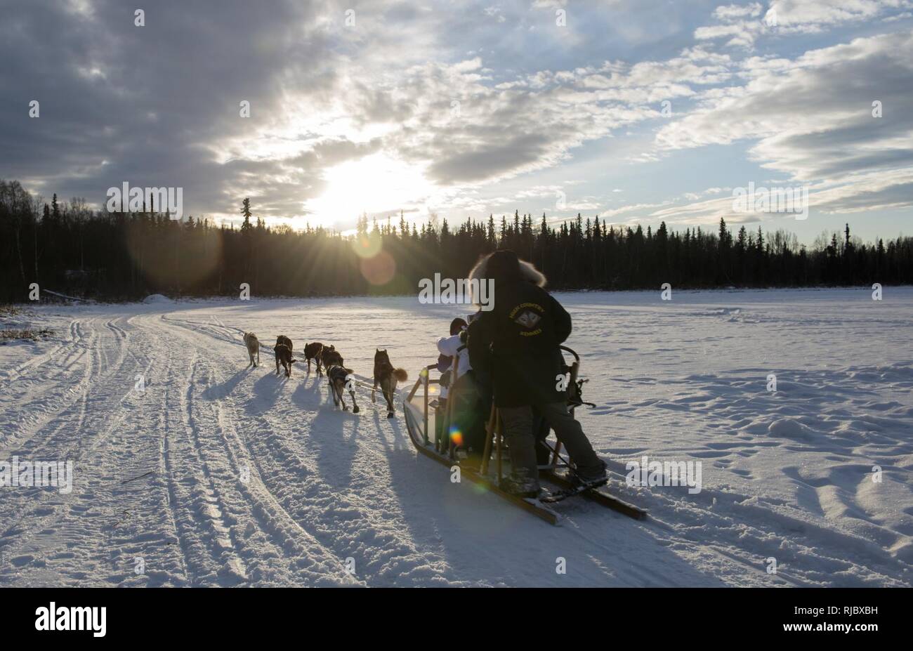 Uno Sled Dog team offre corse di Hillberg Ski Area visitatori a base comune Elmendorf-Richardson, Alaska, 14 gennaio 2018. Come parte della morale, il benessere e la ricreazione programma ospitato dal 673d forza squadrone di supporto e vita JBER Team, il Hillberg Ski Area offre quelli con accesso di base di una varietà di sport invernali e gli eventi. Foto Stock