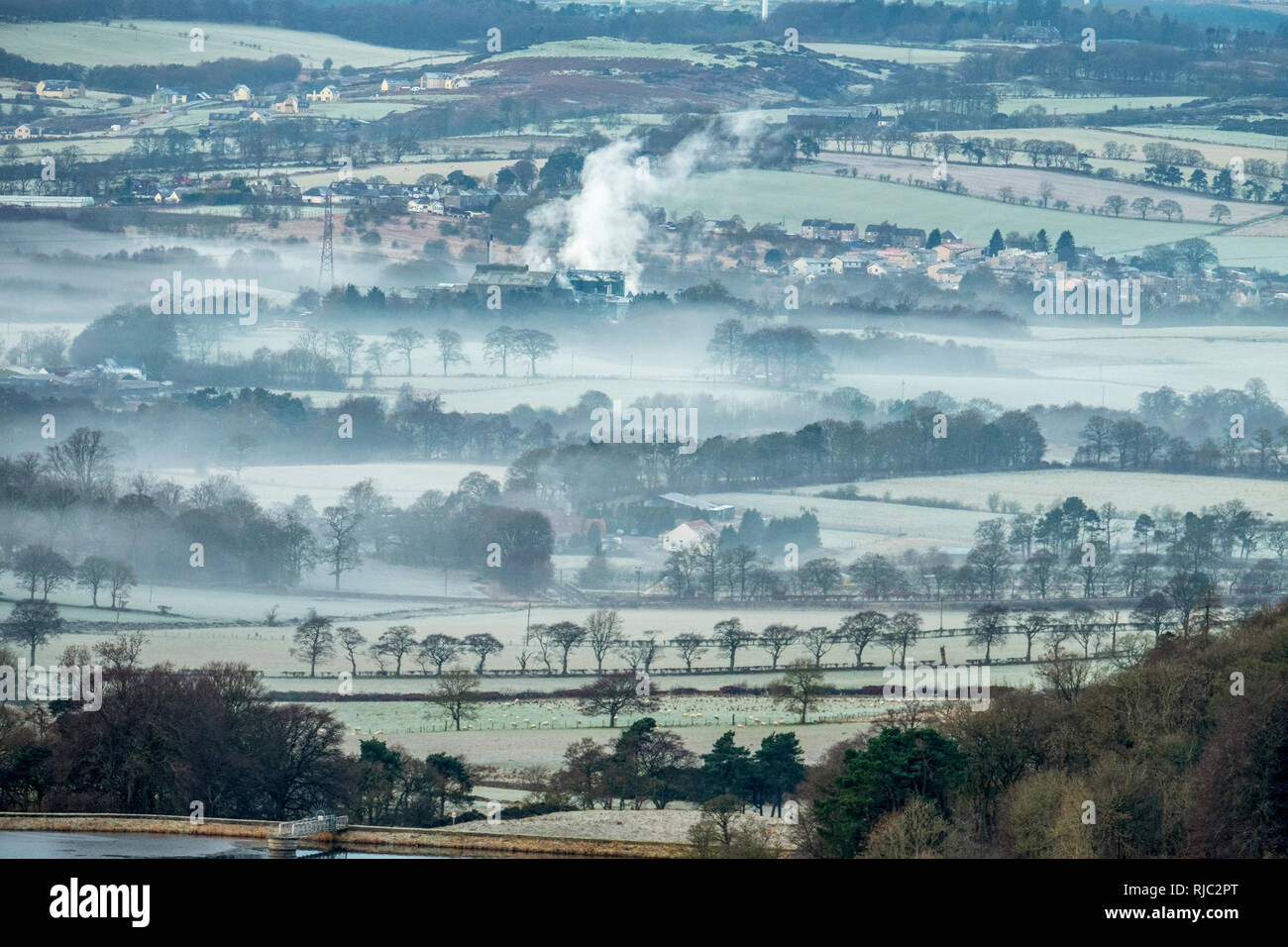 Vista del terreno coltivato su un gelido mattina vicino a Linlithgow, West Lothian' Foto Stock