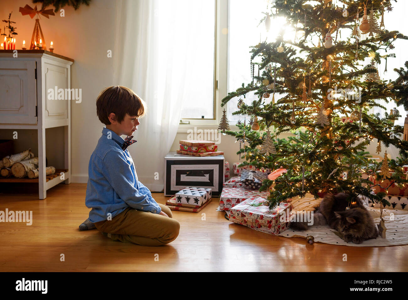 Ragazzo seduto sul pavimento guardando un albero di Natale Foto Stock