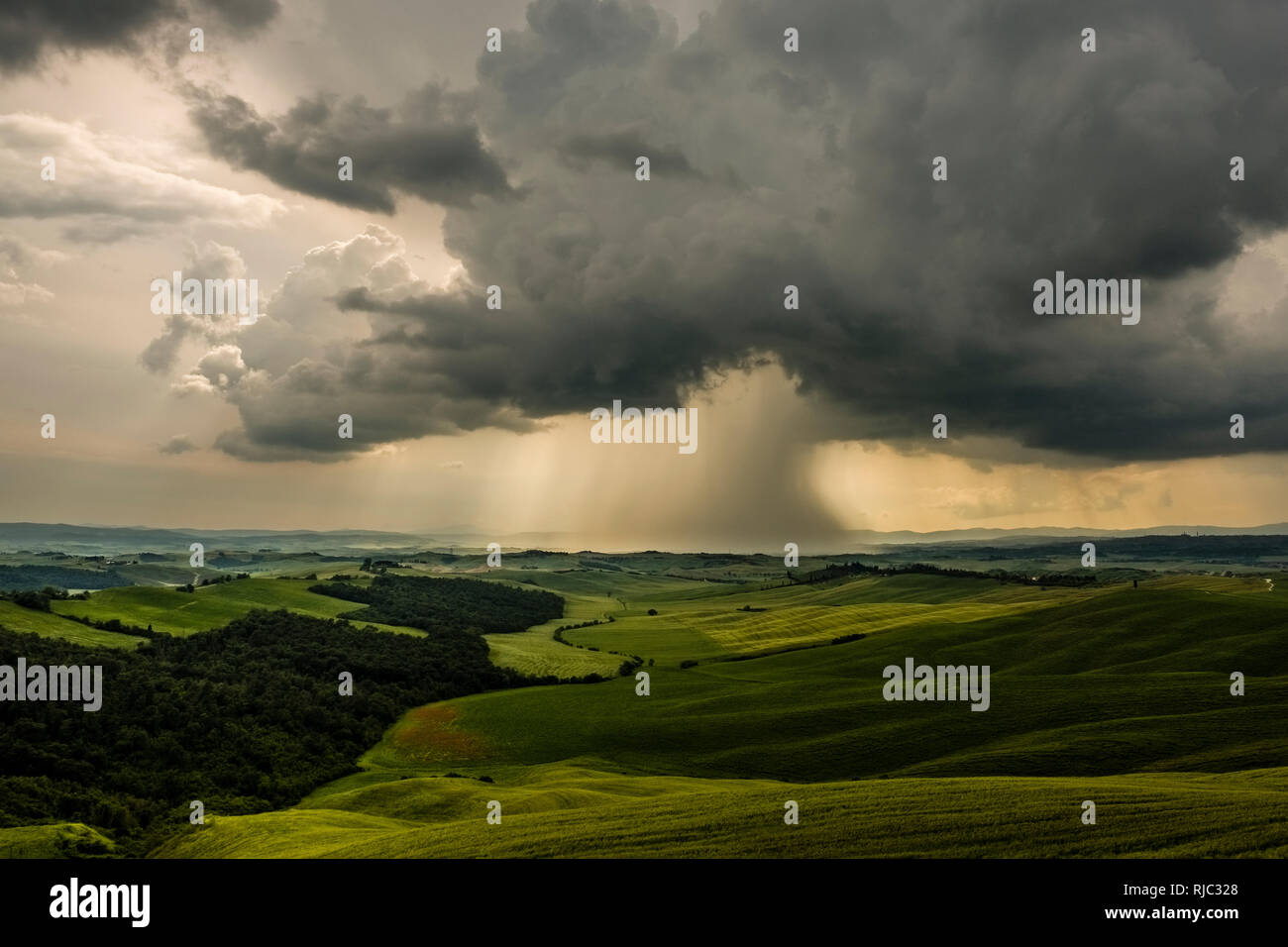 Vista aerea sul tipico del territorio collinare della campagna toscana con campi e alberi, scure nuvole temporale di avvicinamento Foto Stock