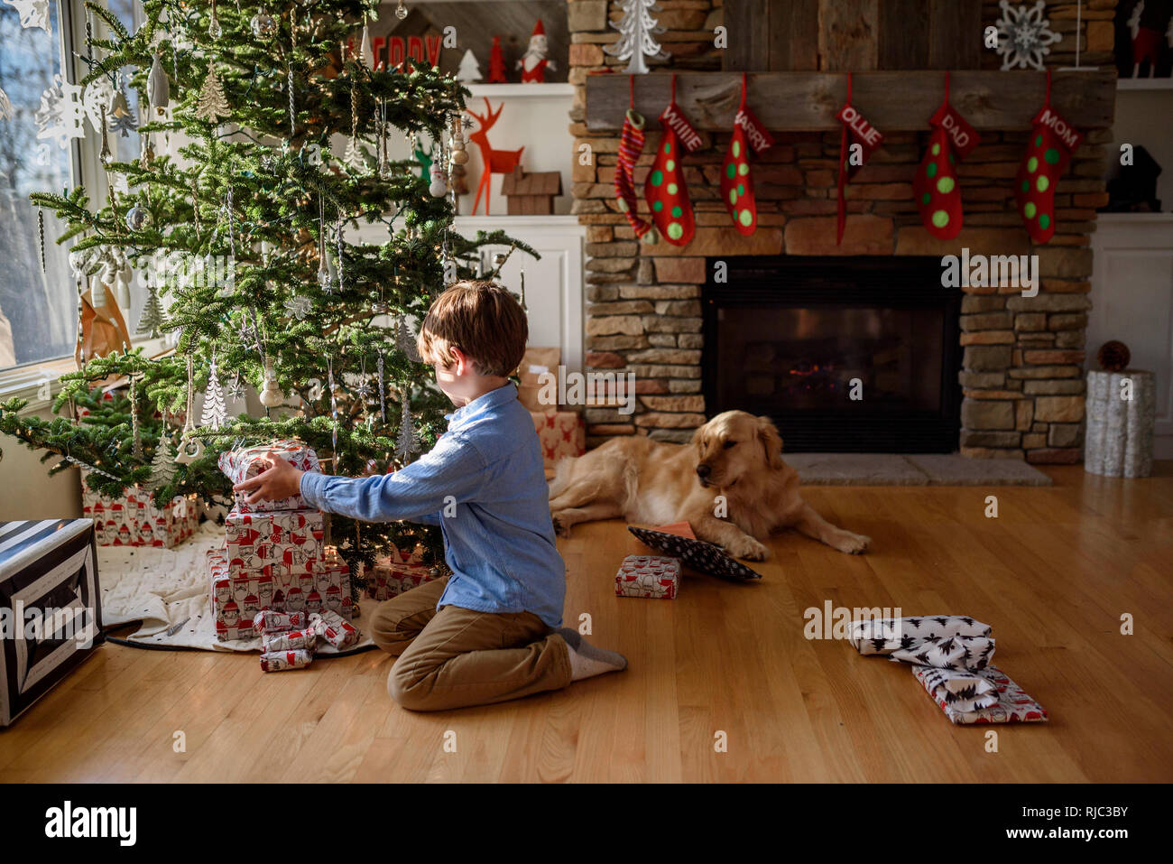 Ragazzo in ginocchio di fronte a un albero di Natale regali di impilamento Foto Stock