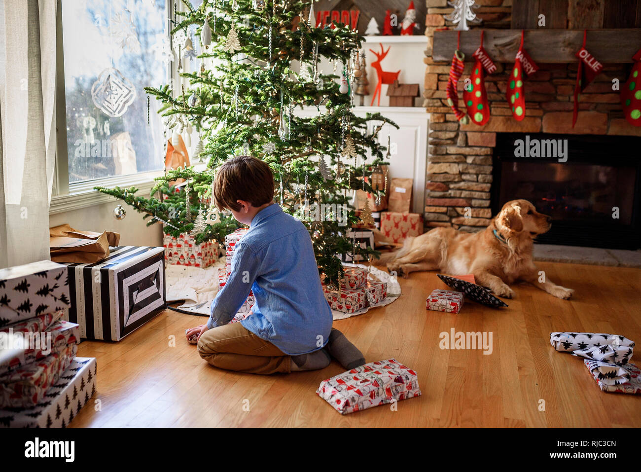 Ragazzo in ginocchio di fronte a un albero di Natale guardando doni Foto Stock