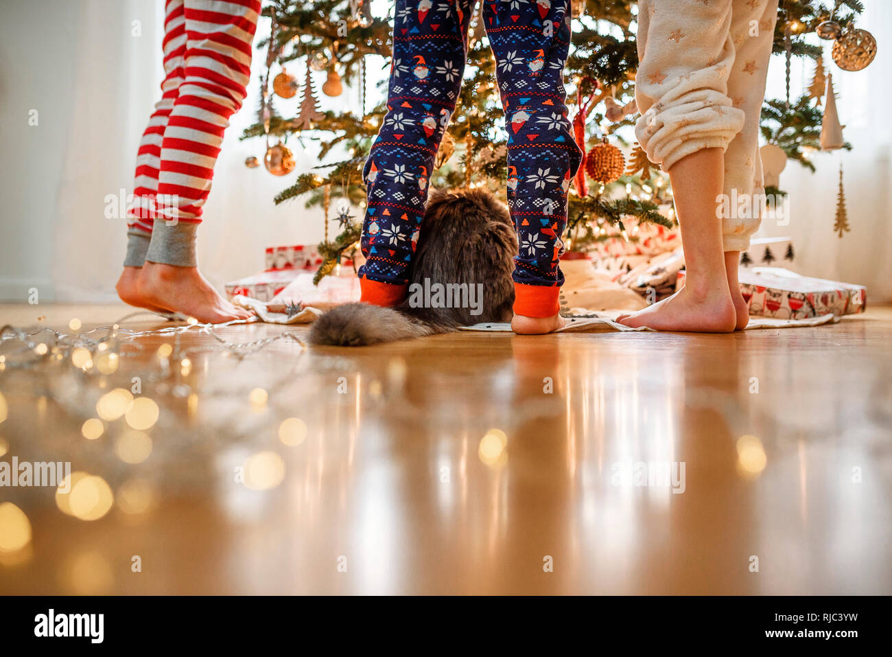 Close-up di tre bambini per le gambe e un gatto in piedi da un albero di Natale Foto Stock