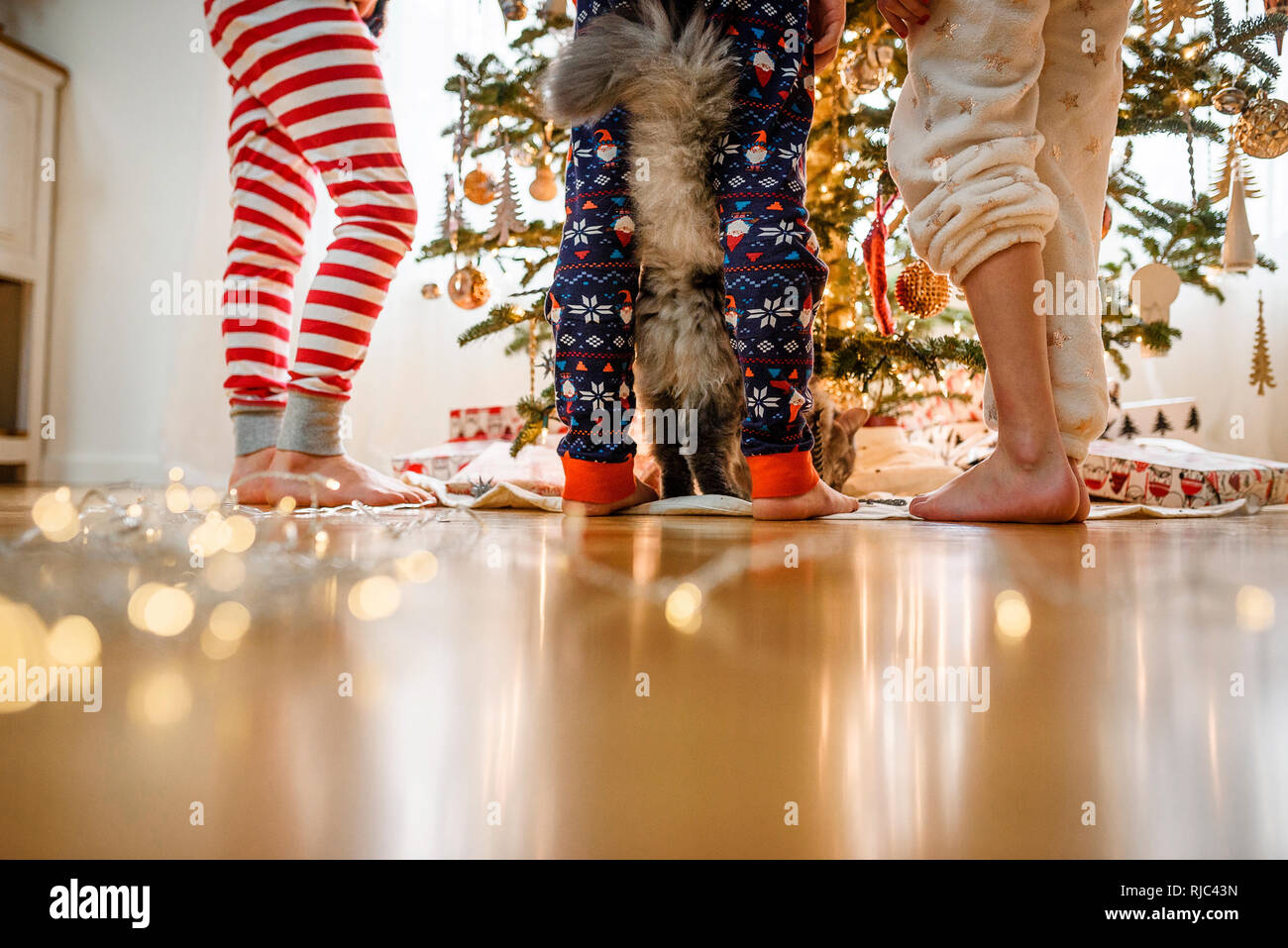 Close-up di tre bambini per le gambe e un gatto mentre la decorazione di un albero di Natale Foto Stock