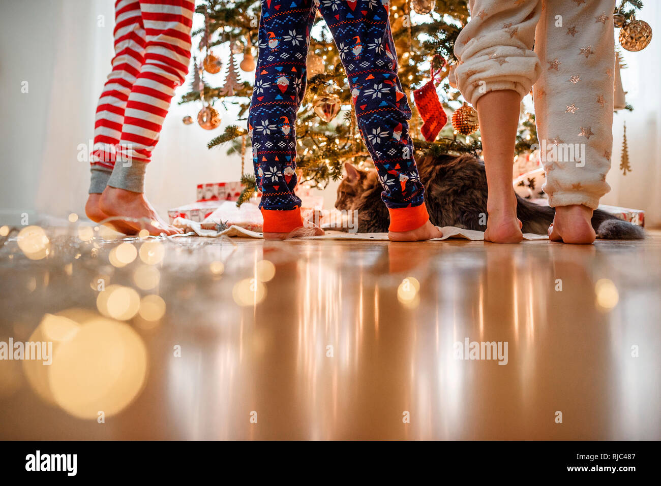 Close-up di tre bambini per le gambe e un gatto mentre la decorazione di un albero di Natale Foto Stock