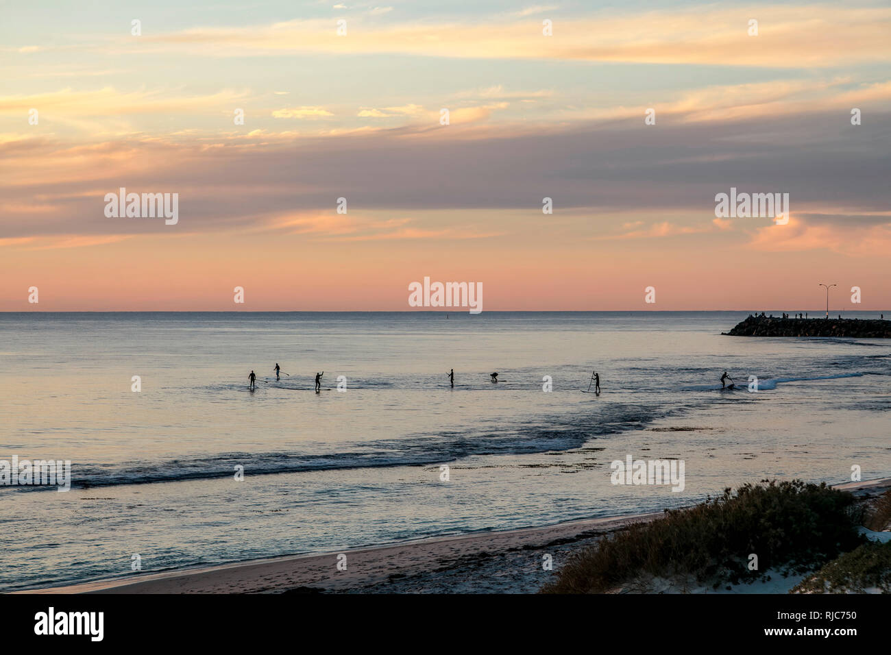 Gruppo di persone paddleboarding al tramonto, Cottesloe Beach, Australia occidentale, Australia Foto Stock