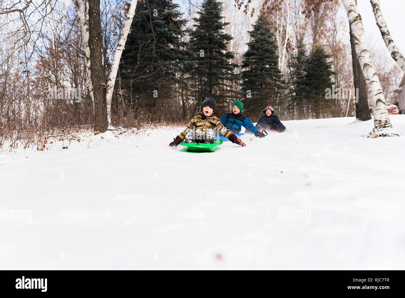 Tre ragazzi in slittino bosco, Wisconsin, Stati Uniti Foto Stock