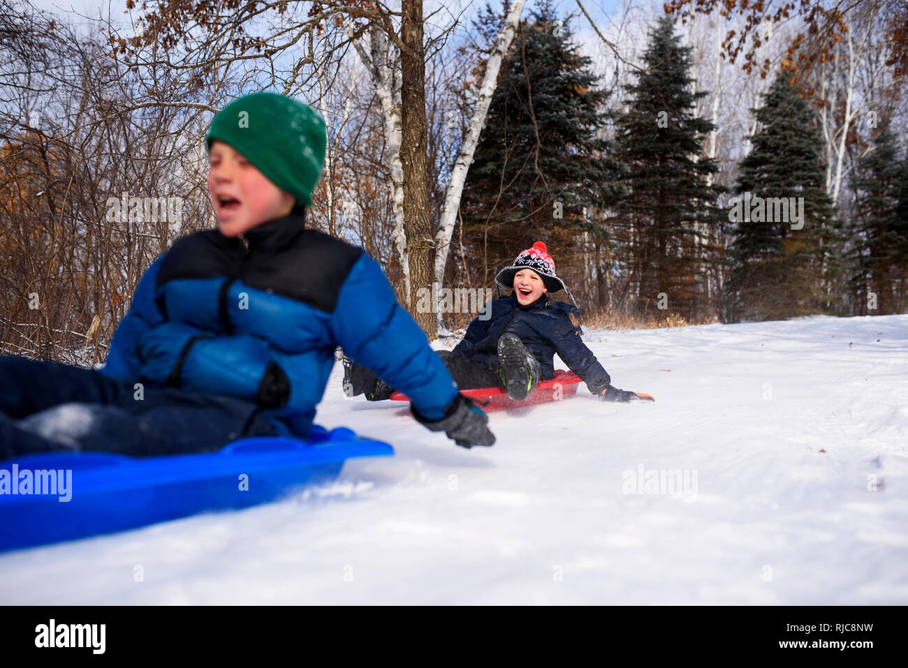 Due ragazzi su una slitta a ridere, Wisconsin, Stati Uniti Foto Stock