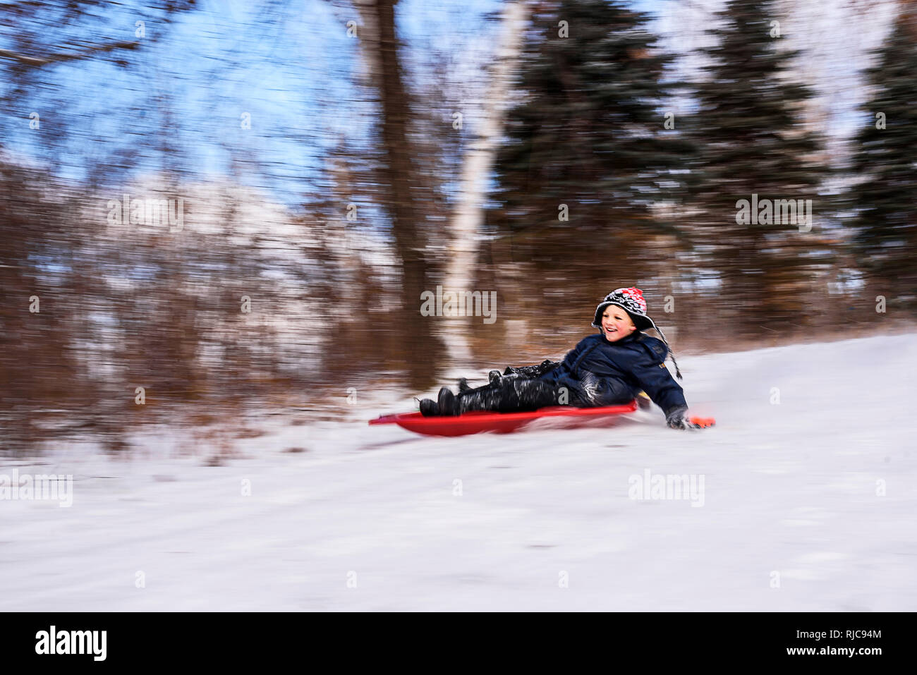 Ragazzo slittare la discesa da un pendio, Wisconsin, Stati Uniti Foto Stock