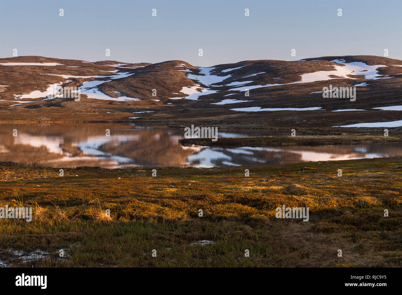 Paesaggio, tundra Paesaggio con macchie di neve Foto Stock