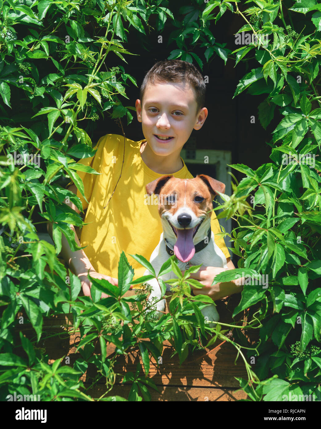 Ragazzo sorridente con il cane su treehouse. L'estate! Concetto di infanzia Foto Stock