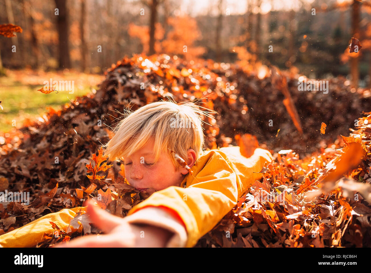 Ragazzo giocando un mucchio di foglie di autunno, Stati Uniti Foto Stock