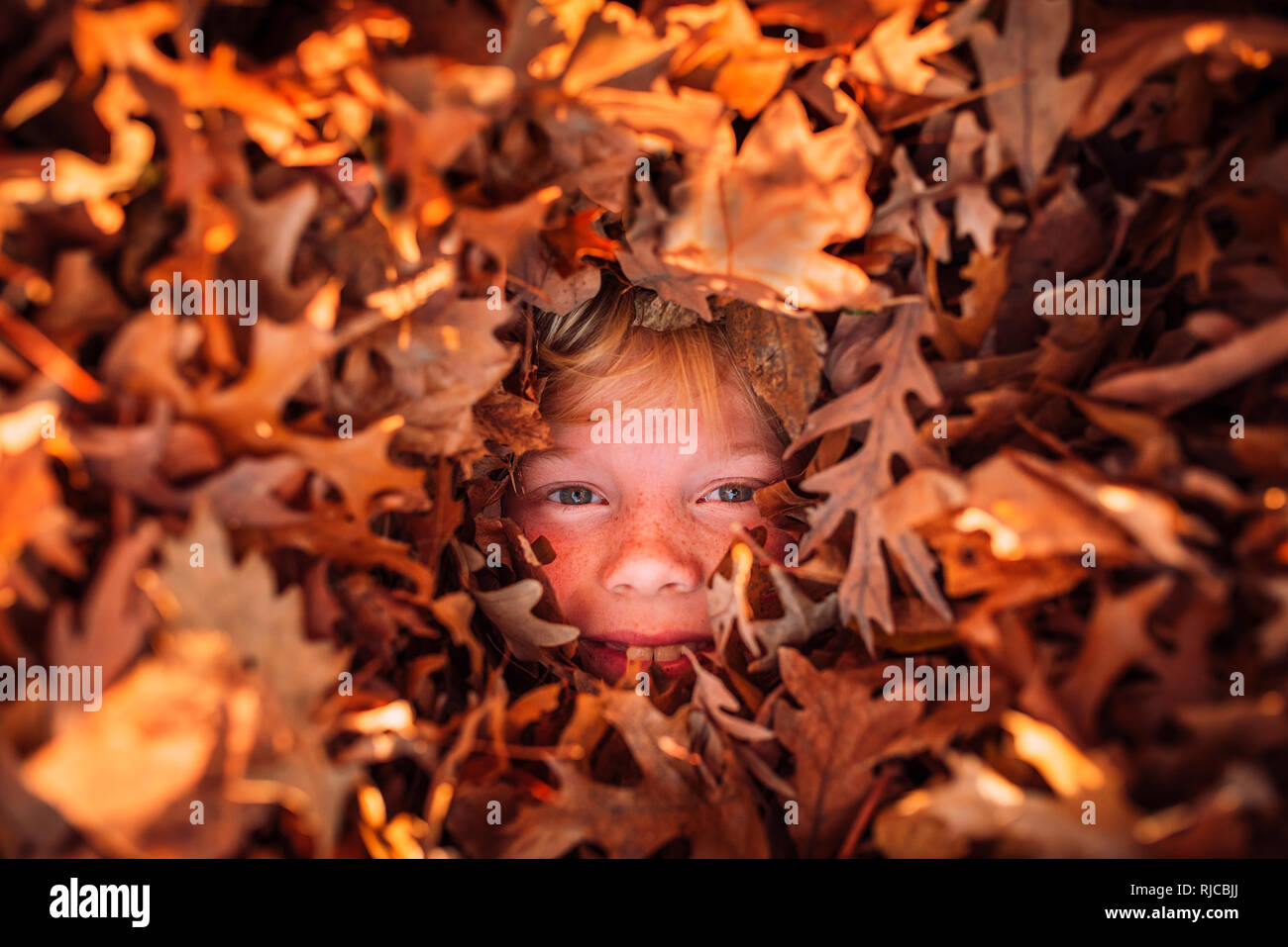 Ragazzo sepolto in una pila di foglie di autunno, Stati Uniti Foto Stock