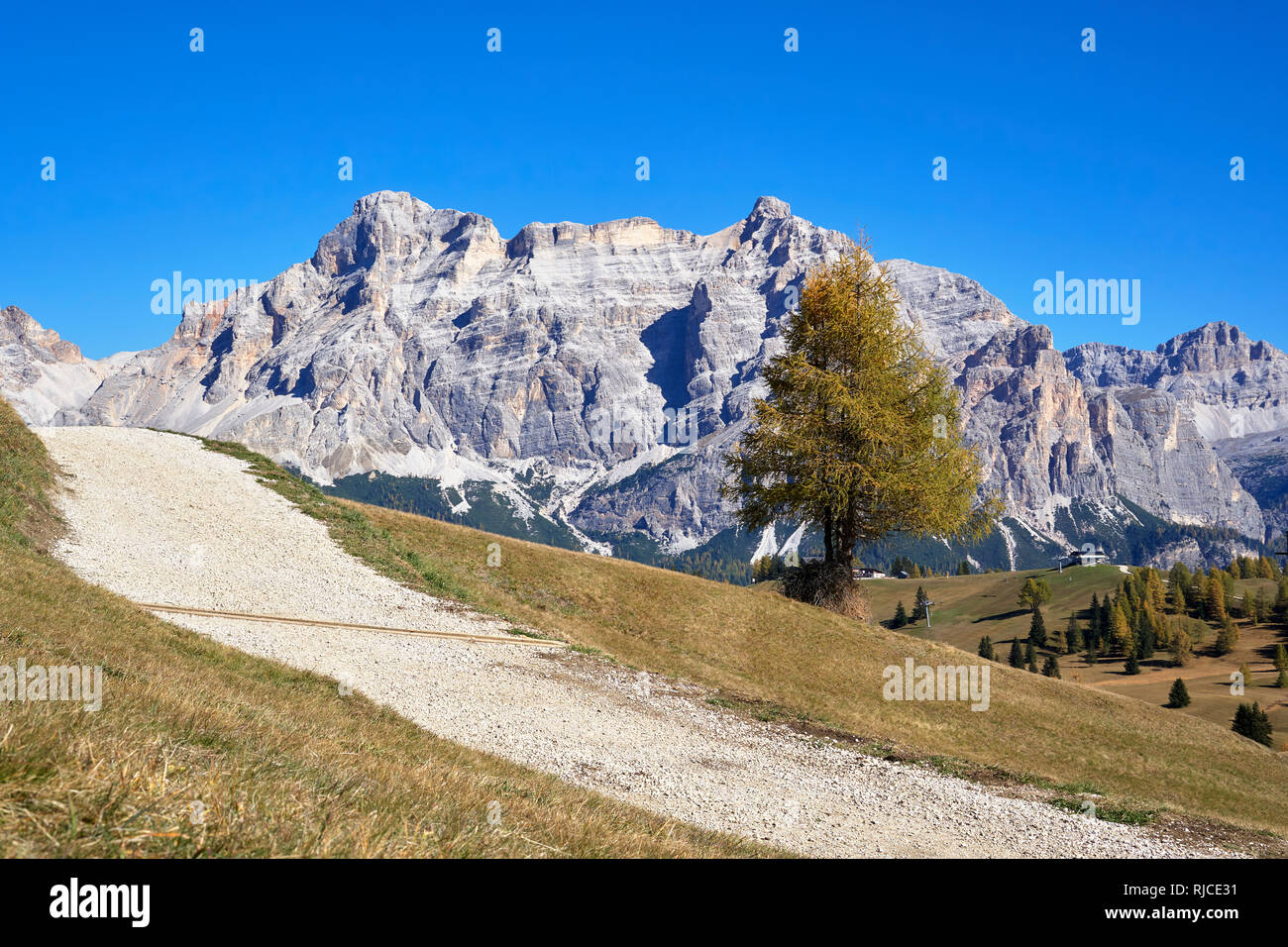 Vista su tutta la montagna di grazings Pralongia al Piz dles Conturines, Dolomiti, Alto Adige, Italia. Foto Stock