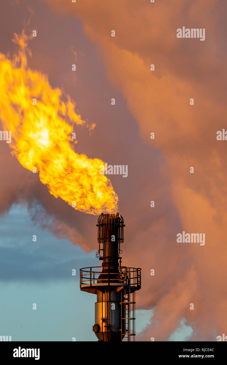 Posizione di acciaio Hamborn Duisburg, cokeria Schwelgern ThyssenKrupp Steel, torcia a gas, la svasatura off gas inutilizzato Foto Stock