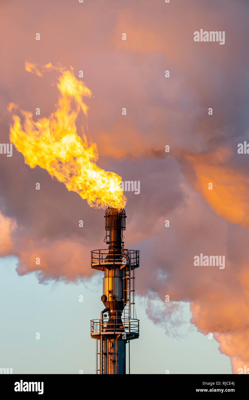 Posizione di acciaio Hamborn Duisburg, cokeria Schwelgern ThyssenKrupp Steel, torcia a gas, la svasatura off gas inutilizzato Foto Stock