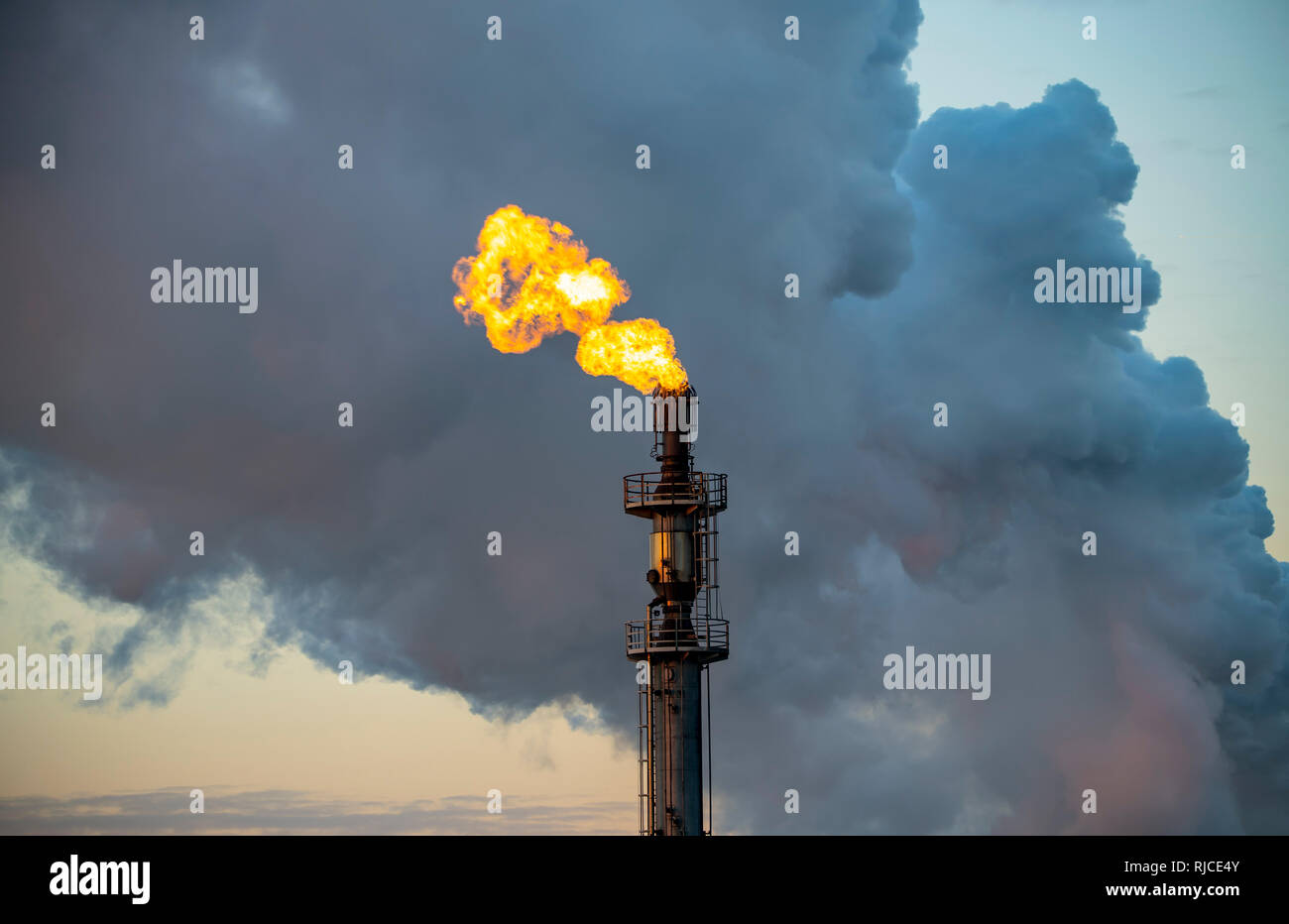 Posizione di acciaio Hamborn Duisburg, cokeria Schwelgern ThyssenKrupp Steel, torcia a gas, la svasatura off gas inutilizzato Foto Stock