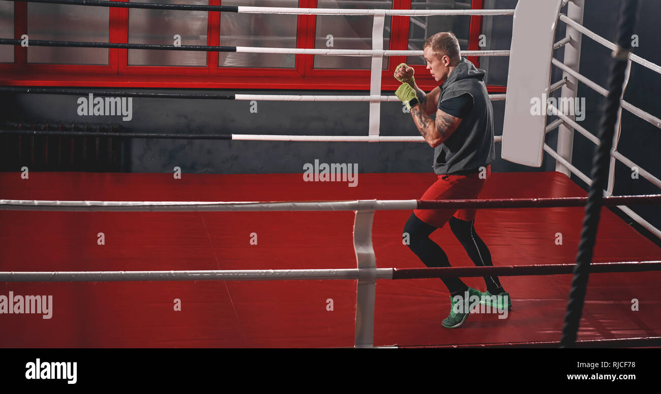 Bello sportivo muscolare in abbigliamento sportivo corsi di formazione su pugilato ring. Uomo Forte boxe con ombra su red pugilato ring in palestra Foto Stock