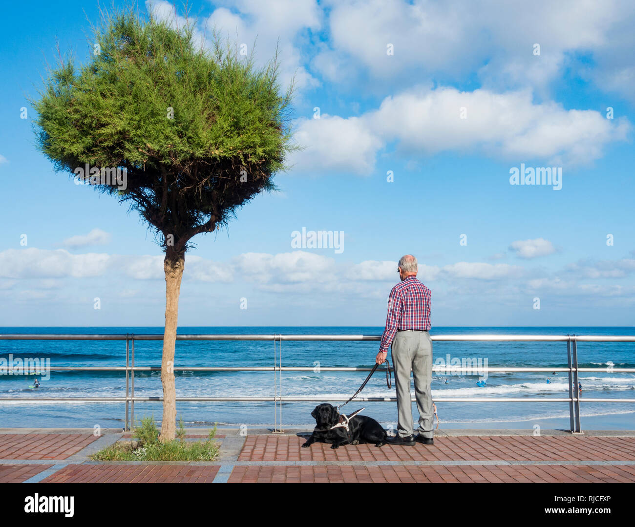 Uomo anziano con il nero Labrador cane guida che guarda al mare. Foto Stock